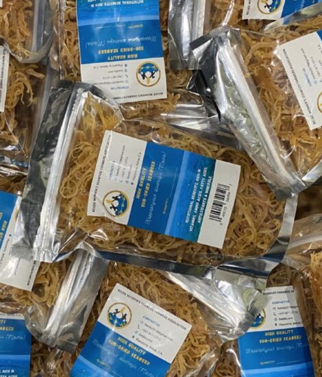 Dried Eucheuma Isiforme