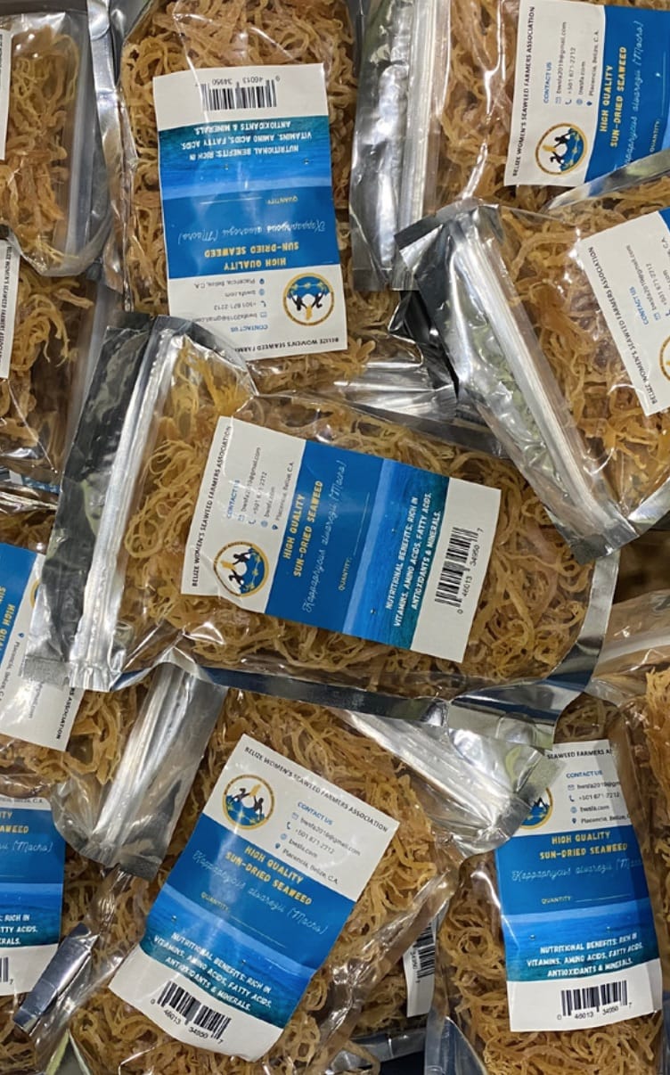 Dried Eucheuma Isiforme