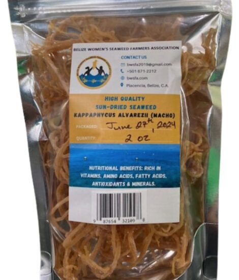 Dried Kappaphycus Alvarezii (Macho)