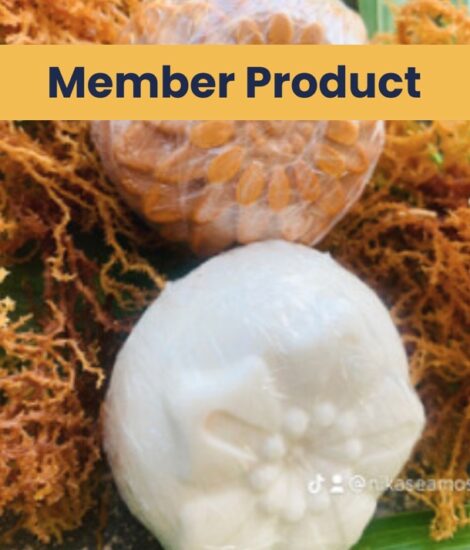 Sea Moss Soap