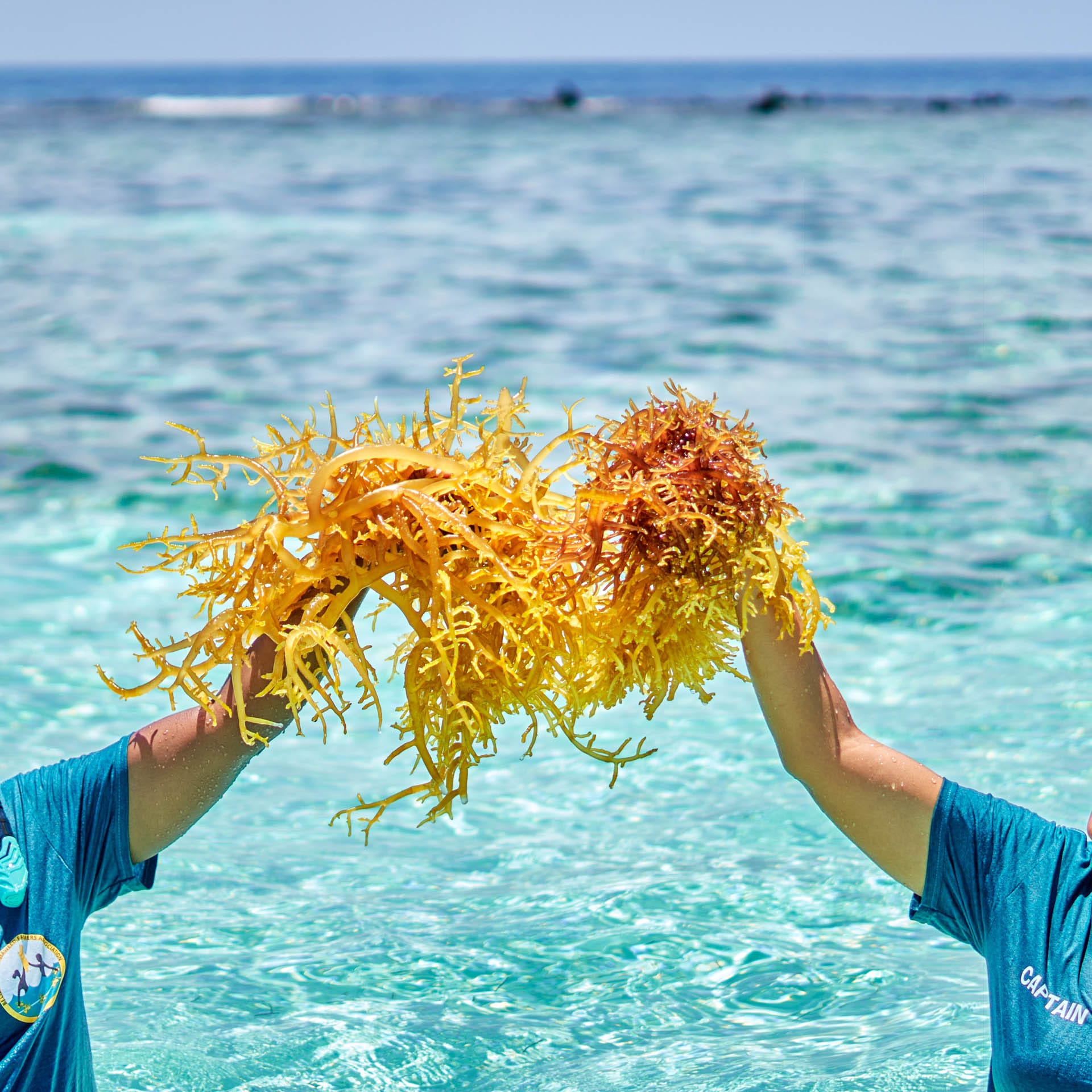 Sustainable Livelihoods